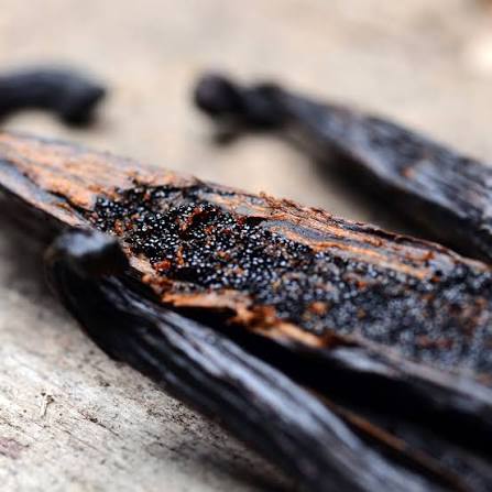 Vanilla Extract